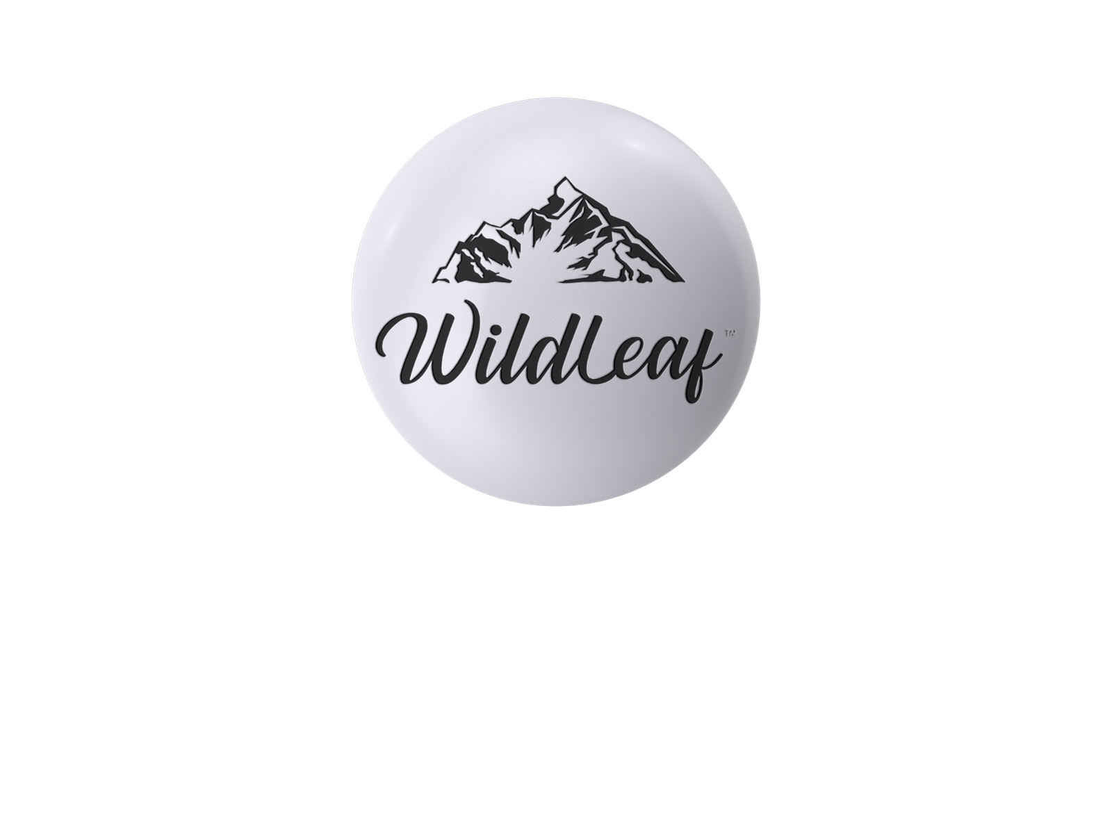 Negative Space Logos:
The term "negative space" refers to the practice of leaving blank areas in a visual representation of a symbol, shape, or image. Depending on the context and your goals, the effect may be subtle or blatant. For example, Fed Ex, WWF, etc.
In most cases, a negative space logo will feature two distinct images: a surrounding element and a contained one. It could also be two letters or a combination of letters plus a shape.